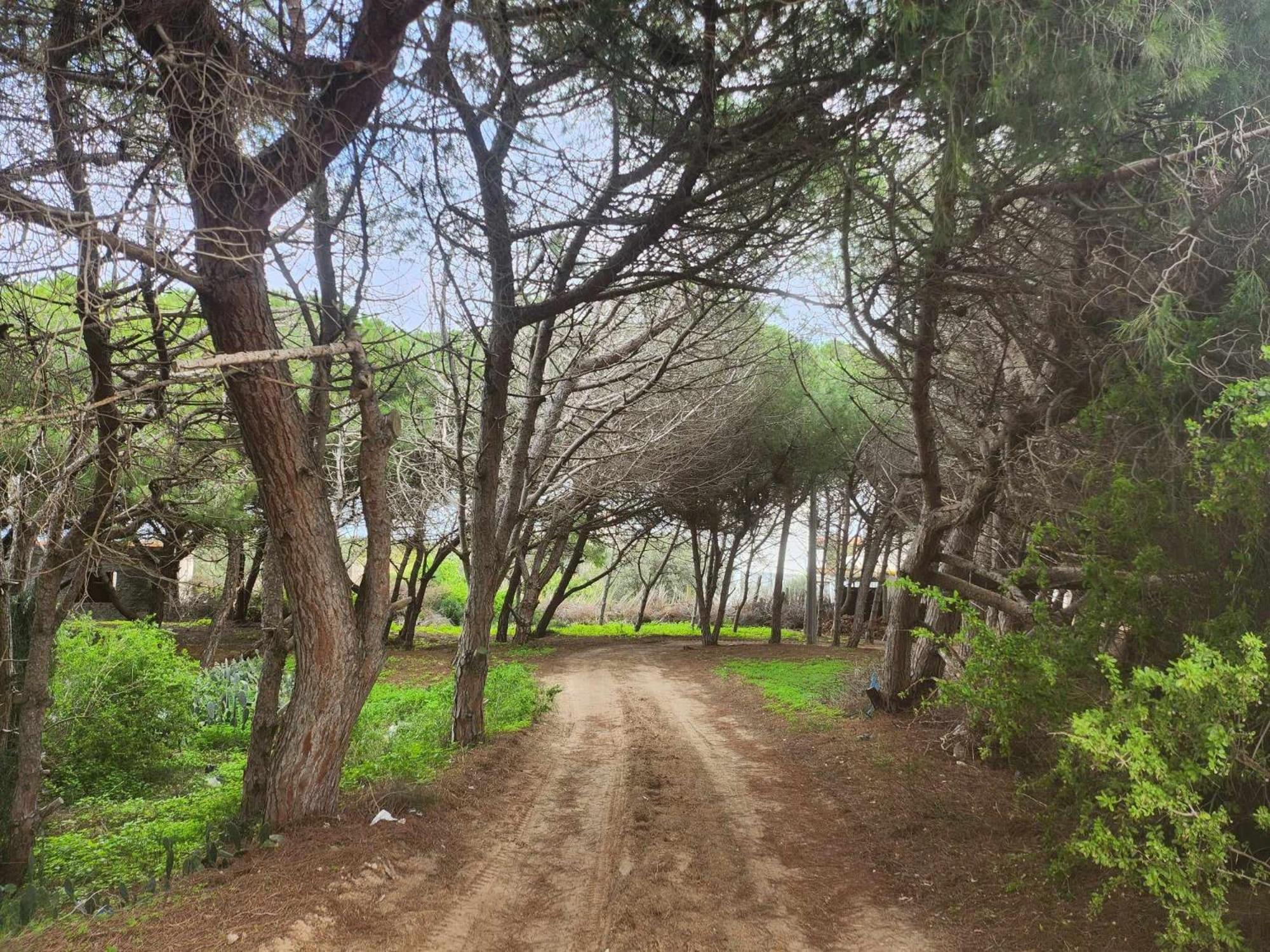 Villa Mabrouka Ra's al Jabal Exteriör bild