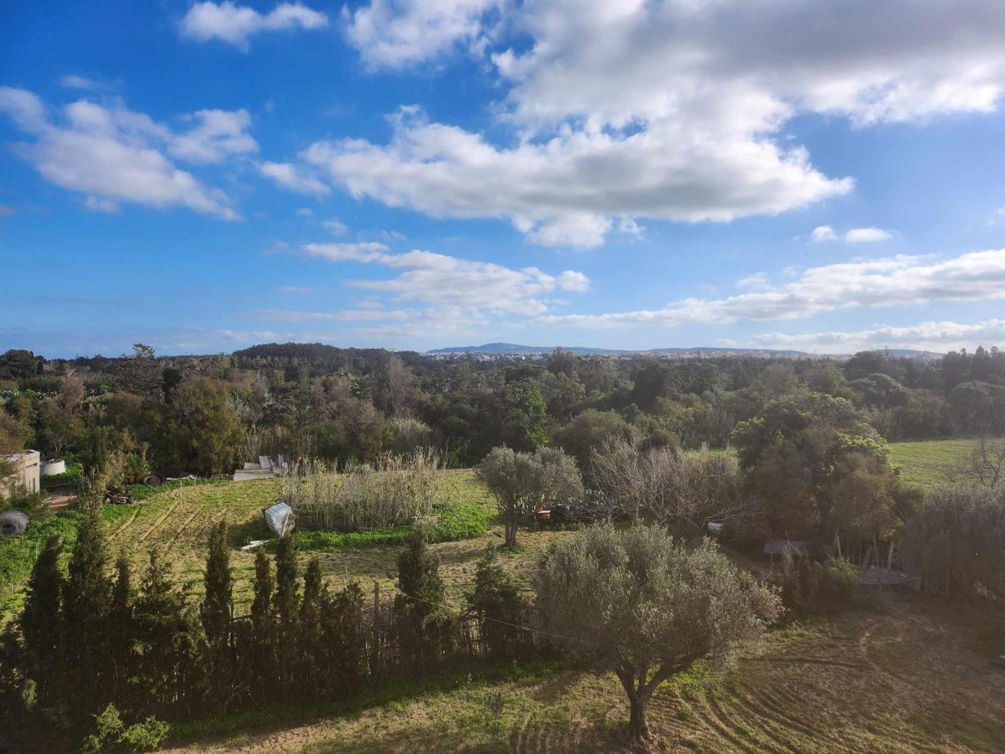Villa Mabrouka Ra's al Jabal Exteriör bild